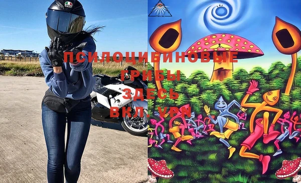 таблы Алзамай