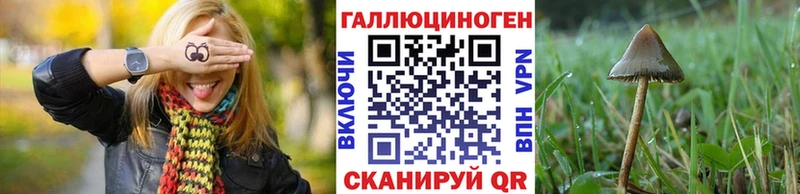 что такое наркотик  Грязовец  Псилоцибиновые грибы Psilocybe 